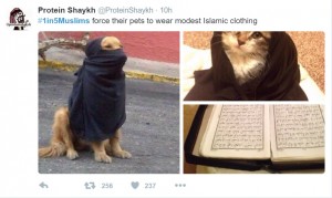 1 in 5 muslims c