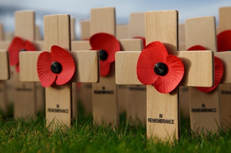 Poppies: To wear or Not to Wear?