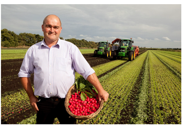 UK Government Encourages Support for Local Food Industry