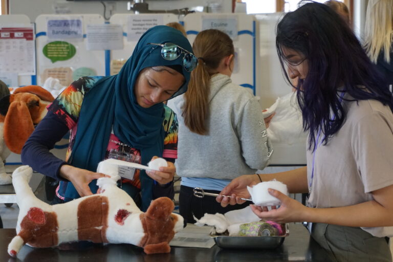 Applications from underrepresented backgrounds are now being accepted for the Royal Veterinary College Summer Schools