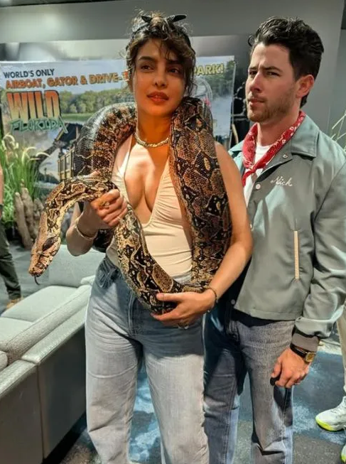 Priyanka Chopra poses with a snake around her neck; Nick Jonas says ‘loving the new jewellery’