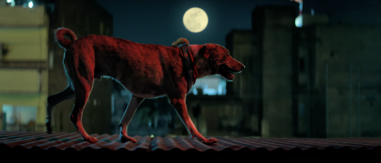 Ohh My Dog is coming to cinemas this July
